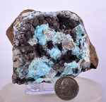 5.9cms DRUZY CHRYSOCOLLA QUARTZ LILY MINE PERU COPPER 2000 DISCOVERY DB32