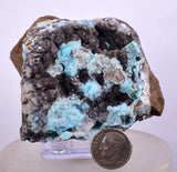 5.9cms DRUZY CHRYSOCOLLA QUARTZ LILY MINE PERU COPPER 2000 DISCOVERY DB32