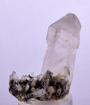 4.2cms GEM QUARTZ SCEPTER NATURAL CHLORITE INCLUDED PHANTOM CRYSTAL PERU  QB28