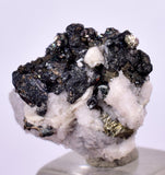 1.6cms NATIVE SILVER WIRE PERU ACANTHITE UCHUCCHACUA MINE MINERAL SPECIMEN HB196