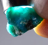 31carats GEM SILICA CHRYSOCOLLA CHALCEDONY PERU HIGH YIELD NEW FIND ROUGH SB85