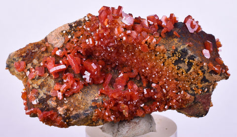 6cm VANADINITE HOLLANDITE CRYSTAL MIBLADEN MOROCCO  MINERAL SPECIMEN WB34