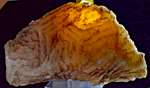 23cms NAZCA LINES CALCITE CRYSTALS PERU SHINY MINERAL SPECIMEN COLLECTOR GB63