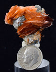 3.4cms CERUSSITE BARITE GALENA CRYSTALS MOROCCO MINERAL SPECIMEN KB54
