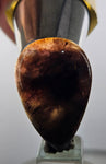 LOT 6 GEM AXINITE PURPLE CABOCHONS  PERU SUPER SHINY RARE MINERAL SPECIMEN BB321
