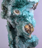 20cm GEM CHRYSOCOLLA IN SELENITE LILY MINE PERU MALACHITE STALACTITES CB359