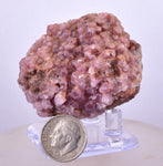 5cms COBALTOAN CALCITE SHINY CRYSTAL MOROCCO MINERAL SPECIMEN GB61