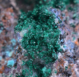9cm GEM BROCHANTITE CHRYSOCOLLA MALACHITE DRUZY QUARTZ DIOPTASE ? CHILE ZB27
