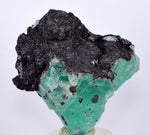 4.8cms GEOCRONITE GREEN FLUORITE CRYSTAL PERU MILPO ATACOCHA PERU SHINY KB20