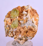 3.9cms YELLOW APATITE CRYSTALS IMILCHIL MOROCCO MINERAL SPECIMEN AB234
