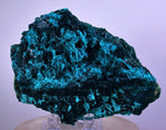 9.2cm GEM BLUE MALACHITE CHRYSOCOLLA PERU ROSETTE BOTRYOIDAL CRYSTAL GRAPE UB128