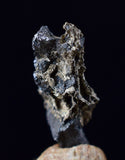 0.9cms NATIVE SILVER WIRE PERU UCHUCCHACUA MINE MINERAL SPECIMEN HB257