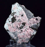 6.5cms RHODOCHROSITE ROSETTE PYRITE CRYSTALS PERU MINERAL SPECIMEN RB573