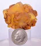 3.7cms GEM YELLOW FLUORITE SHINY CRYSTAL AHOULI MOROCCO MINERAL SPECIMEN KB48