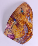 PIECES OF SPINY OYSTER POLISHED PERU JEWELRY PENDANT BB157