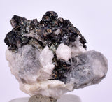 1.6cms NATIVE SILVER WIRE PERU ACANTHITE UCHUCCHACUA MINE MINERAL SPECIMEN HB196