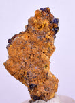 4.2cms GEM WULFENITE FLUORITE MIMETITE CRYSTALS ALAMO ARIZONA USA MINERAL YB32