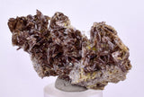 6.4cms PREMIUM AXINITE QUARTZ CRYSTALS PERU AESTHETIC COLLECTOR AB137