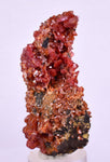 5.8cm VANADINITE HOLLANDITE CRYSTAL MIBLADEN MOROCCO  MINERAL SPECIMEN WB24