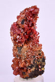 5.8cm VANADINITE HOLLANDITE CRYSTAL MIBLADEN MOROCCO  MINERAL SPECIMEN WB24