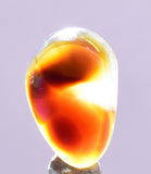 4cts FIRE AGATE CABOCHONS NATURAL MEXICO MULTI COLOR GEMSTONE JEWELRY BB233