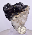 6.1cms CASSITERITE BRILLIANT CRYSTALS FACET GRADE SHINY BOLIVIA MINERAL EB57