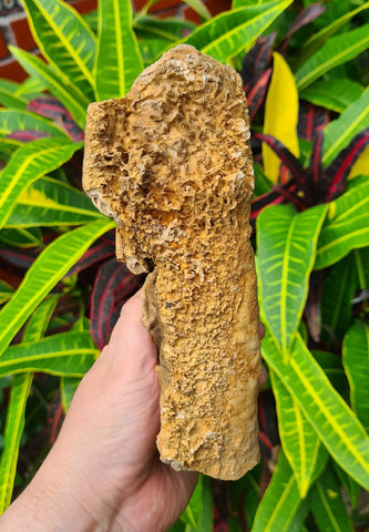 19cms ARAGONITE STALACTITE CALCITE CRYSTALS AESTHETIC MINERAL SPECIMEN PERU EB28