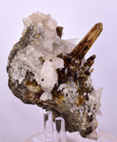 11cms CALCITE TOOTH DOG WITH QUARTZ CRYSTALS PERU SHINY MINERAL SPECIMEN QB103