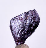 1cms PROUSTITE RED RUBY SILVER PERU UCHUCCHACUA MINE MINERAL SPECIMEN HB111