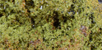 19cms EPIDOTE CRYSTALS PERU MINERAL SPECIMEN COLLECTOR  CB173