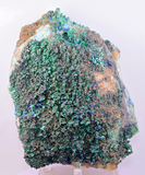 16cms GEM BROCHANTITE ATACAMITE LINARITE CHRYSOCOLLA CHILE Z43