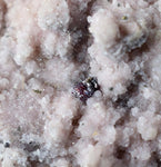 7.5cms PROUSTITE RED RUBY SILVER MINERAL PERU UCHUCCHACUA MINE SPECIMEN H313
