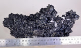 26cms MUSEUM SPHALERITE CHALCOPYRITE PYRITE  QUARTZ CRYSTALS PERU MB119