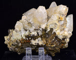 8.5cms CALCITE TOOTH DOG WITH QUARTZ CRYSTALS PERU SHINY MINERAL SPECIMEN GB45