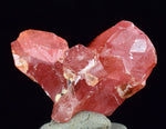 1.8cms TWIN SCEPTER RHODOCHROSITE CRYSTALS PERU UCHUCHACCUA MINE RB479