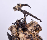 9.5cm NATIVE SILVER WIRES PERU UCHUCCHACUA MINE PYRITE PROUSTITE MANGANITE HB163