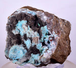 5.9cms DRUZY CHRYSOCOLLA QUARTZ LILY MINE PERU COPPER 2000 DISCOVERY DB32