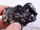 6.1cms CASSITERITE BRILLIANT CRYSTALS FACET GRADE SHINY BOLIVIA MINERAL EB57