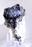 6.1cms CASSITERITE BRILLIANT CRYSTALS FACET GRADE SHINY BOLIVIA MINERAL EB57