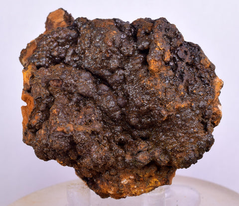 5.3cms GOETHITE BOTRYOIDAL IRIDESCENT CRYSTALS PERU IRON NEW FIND MINERAL ZB31