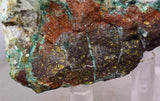 7.9cms GEM ATACAMITE INSIDE SELENITE CRYSTAL LILY MINE 2000 DISCOVERY PERU AB158