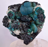 7.9cms DRUZY CHRYSOCOLLA QUARTZ MALACHITE BOTRYOIDAL PERU MINERAL SPECIMEN DB84