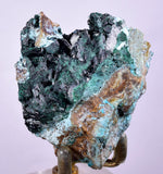 5.6cms ATACAMITE DRUZY MALCHITE CHRYSOCOLLA LILY MINE PERU MINERAL AB88