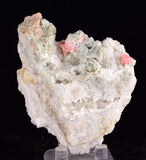 7cms RHODOCHROSITE GRIZZLY BEAR MINE COLORADO U S A RHOMBOHEDRAL CRYSTALS RB651