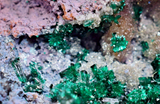 9cm GEM BROCHANTITE CHRYSOCOLLA MALACHITE DRUZY QUARTZ DIOPTASE ? CHILE ZB27