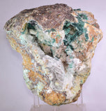14cms GEM ATACAMITE INSIDE SELENITE CRYSTAL LILY MINE 2000 DISCOVERY PERU AB183