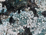 27cms GEM ATACAMITE MALACHITE HALLOYSITE UNKNOWN CRYSTALS CHILE AB247