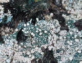 27cms GEM ATACAMITE MALACHITE HALLOYSITE UNKNOWN CRYSTALS CHILE AB247