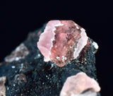 1.8cms GEM RHODOCHROSITE CRYSTALS PERU UCHUCHACCUA MINE MINERAL SPECIMEN RB480