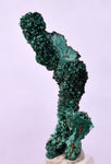 3.8cms MALACHITE CRYSTALS MINERAL SPECIMEN AHOULI MINES MOROCCO UB233